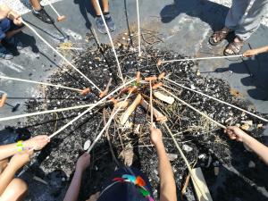 IMG_20190703_115524 (1)